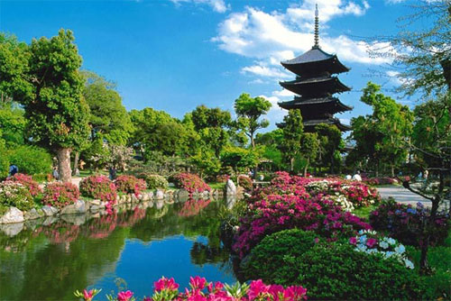 Тоци, Киото. То-Ци в переводе с японского языка означает Восточный Храм. Это храм, который принадлежит японской буддистской секте Шингон